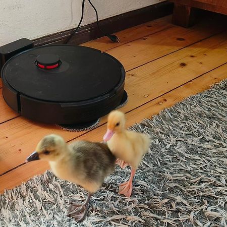Dom Otwarty Apartment Jelenia Gora Luaran gambar