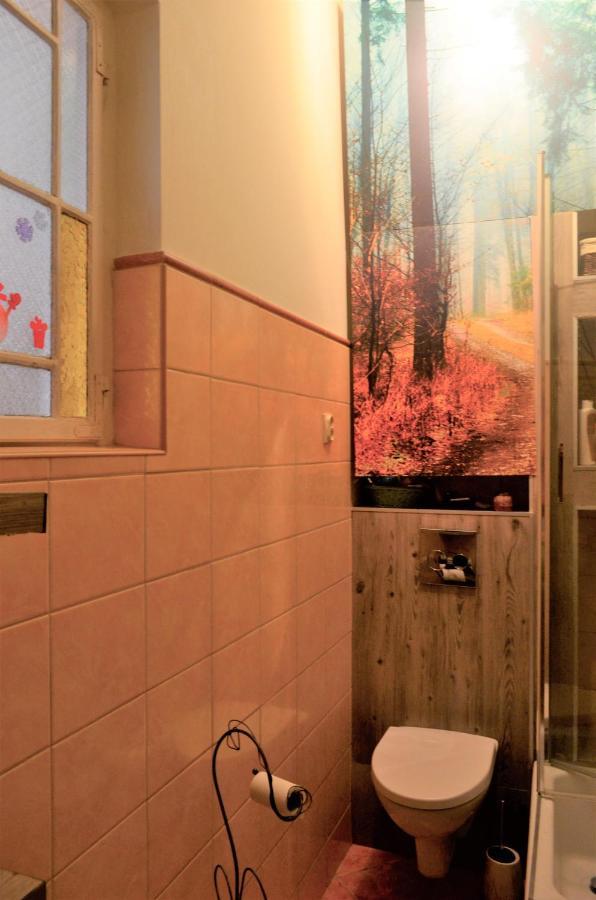 Dom Otwarty Apartment Jelenia Gora Luaran gambar