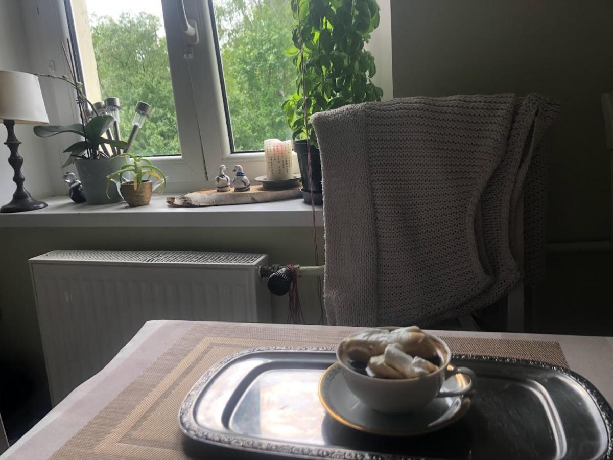 Dom Otwarty Apartment Jelenia Gora Luaran gambar