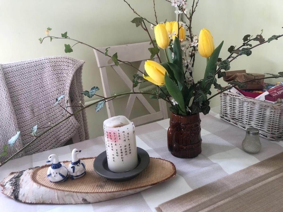 Dom Otwarty Apartment Jelenia Gora Luaran gambar