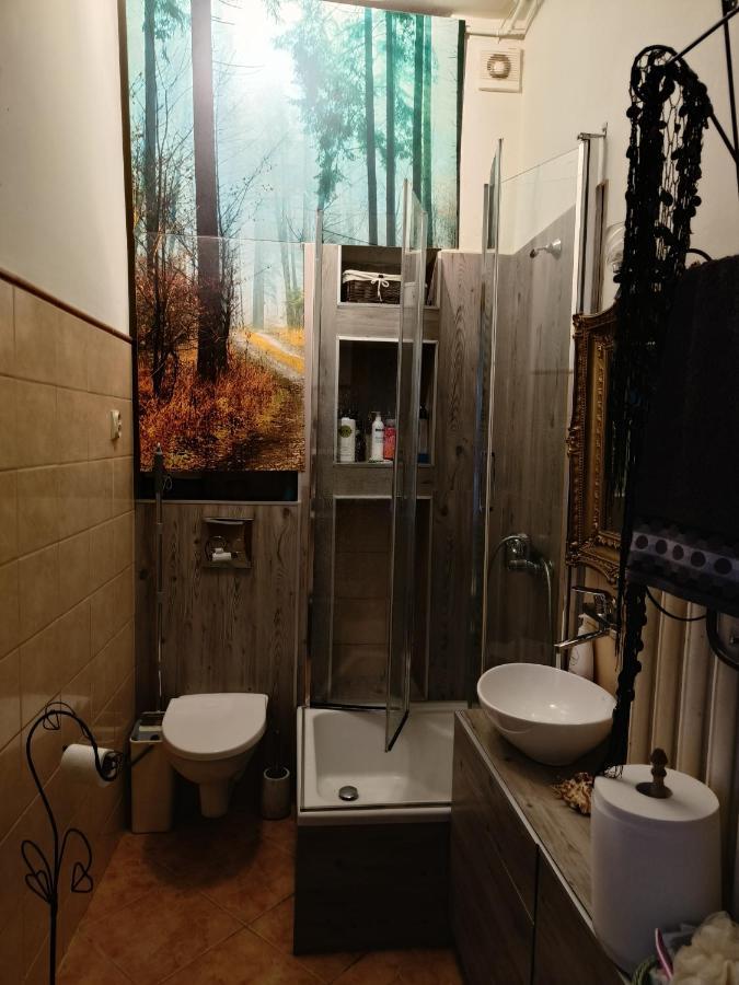Dom Otwarty Apartment Jelenia Gora Bilik gambar